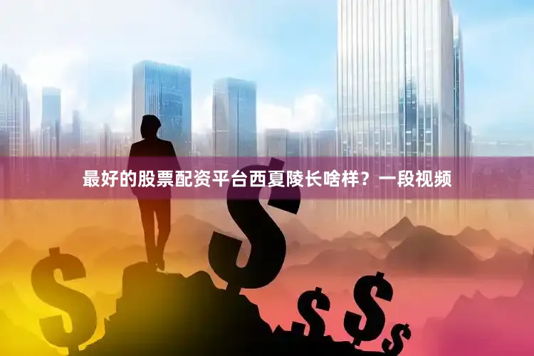 最好的股票配资平台西夏陵长啥样？一段视频