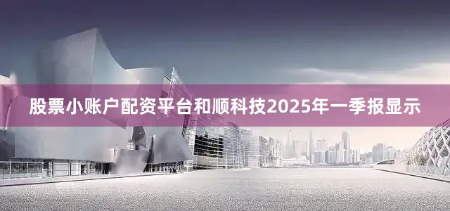 股票小账户配资平台和顺科技2025年一季报显示