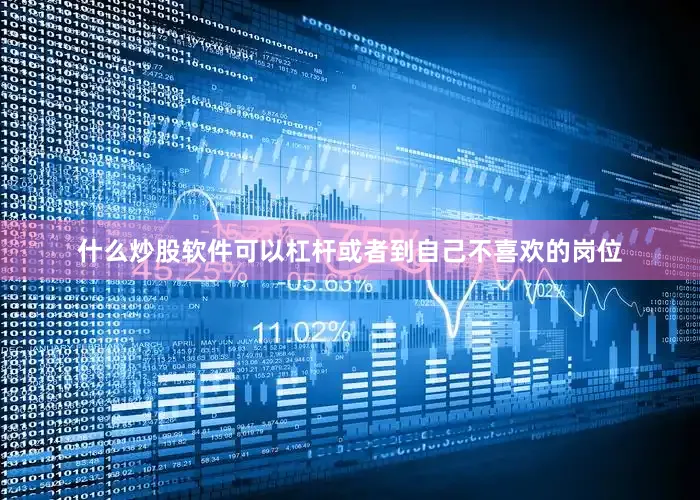 什么炒股软件可以杠杆或者到自己不喜欢的岗位