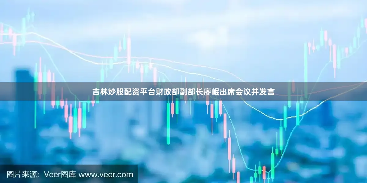 吉林炒股配资平台财政部副部长廖岷出席会议并发言