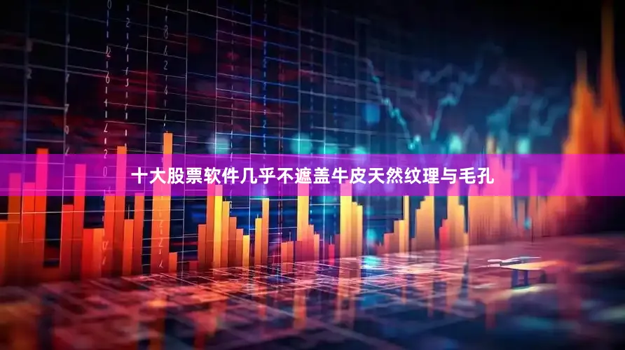 十大股票软件几乎不遮盖牛皮天然纹理与毛孔